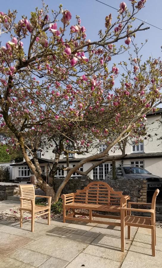 Hotel Furzeleigh Mill Buckfastleigh Exterior foto